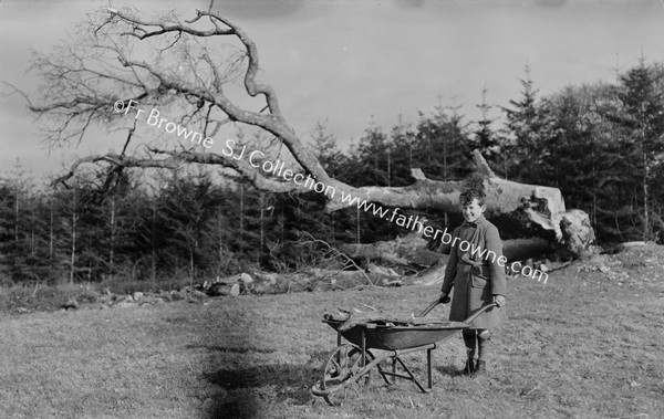 BOY WITH WHEEL-BARROW AT FALLEN TREE
